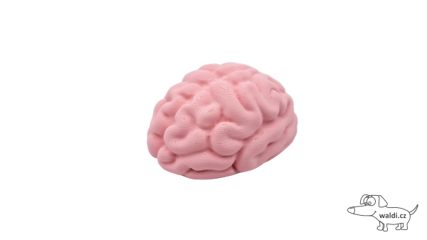 mozek nanomagnet