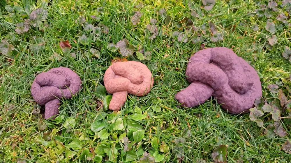 Poop (ho*ínko)
