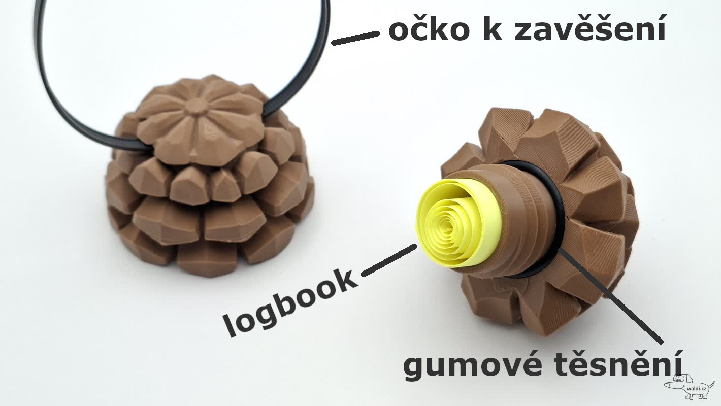 Šiška borovicová