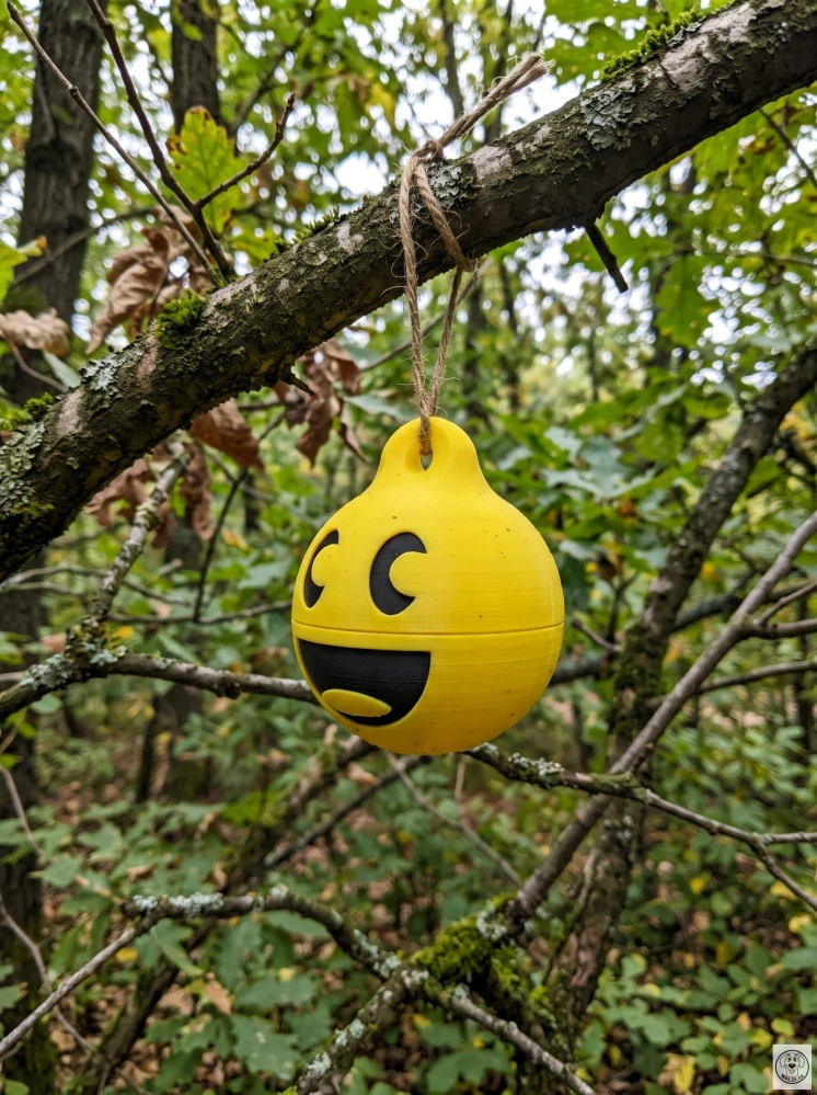 smiley