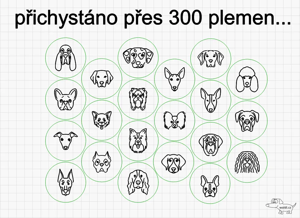 dřevěná známka pro psy a kočky