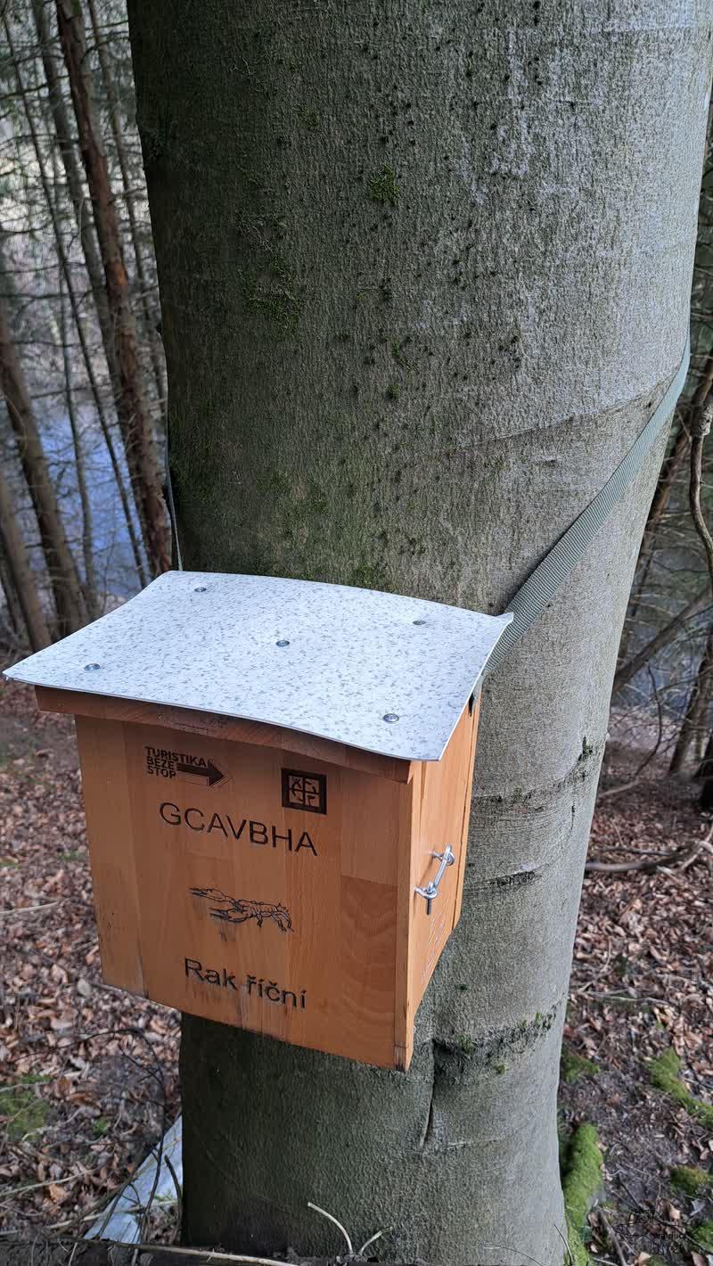 Popruh 40 mm - olivová